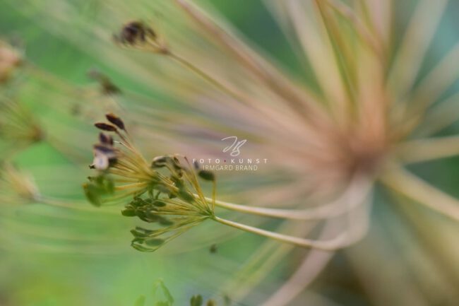 Energie für den Tag exklusive Natur-Wandbilder