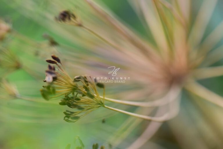 exklusive Natur-Wandbilder