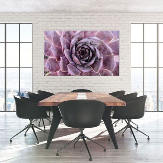 exklusive Natur-Wandbilder