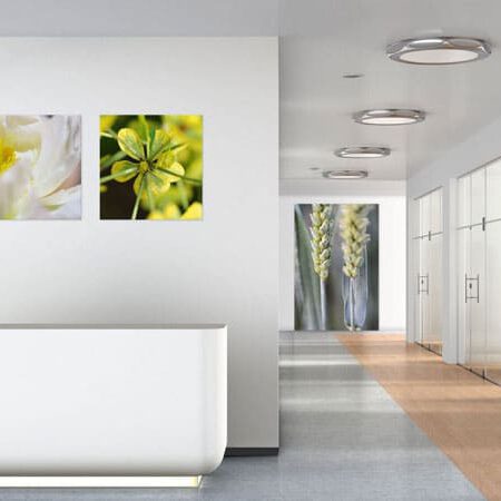 exklusive Natur-Wandbilder