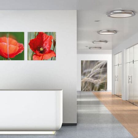 exklusive Natur-Wandbilder