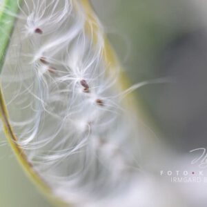 exklusive Natur-Wandbilder