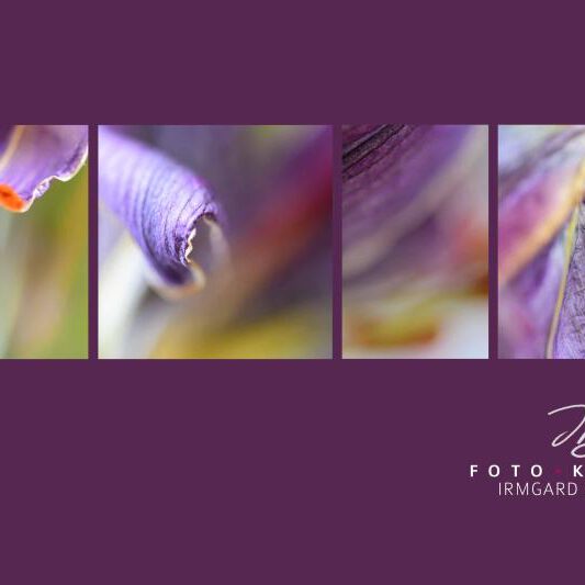 exklusive Natur-Wandbilder