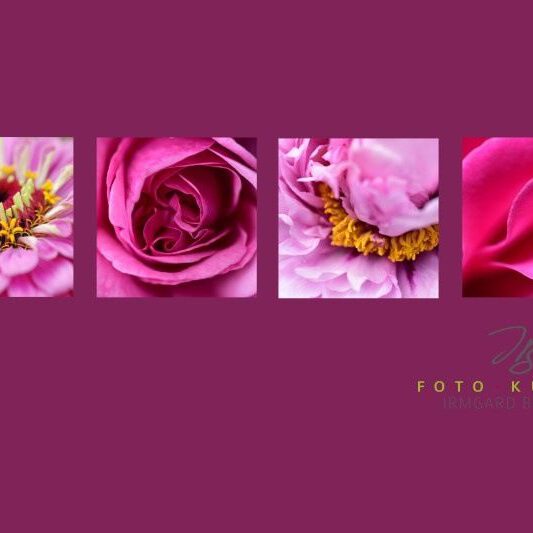 exklusive Natur-Wandbilder