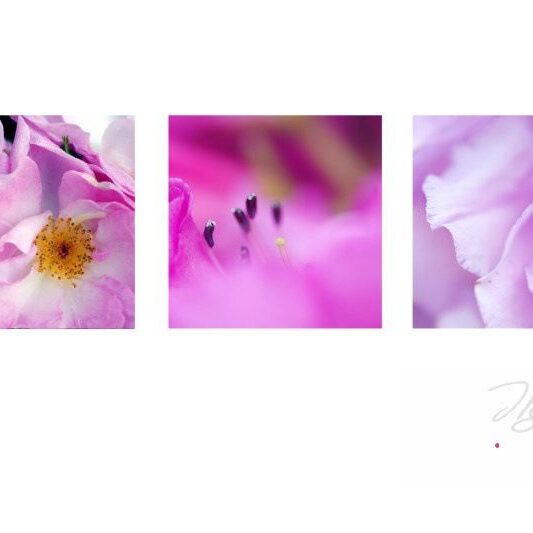 exklusive Natur-Wandbilder