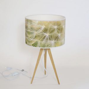 DSC_8544A.b2.web_-300x300